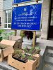 50 сибирских кедров высажено на территории Национального медицинского университета в Киеве